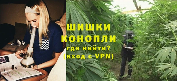 крисы Елизово