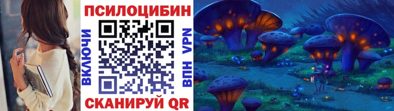Галлюциногенные грибы Psilocybe  Купить где  Краснокаменск 